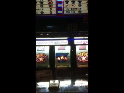 Best paying slot machine at harrah